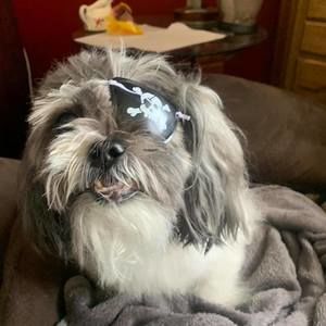 Meet your Posher, Atarah